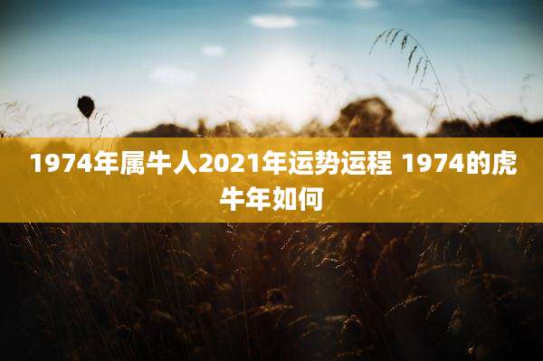 1974年属牛人2021年运势运程 1974的虎牛年如何