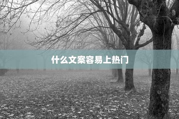 什么文案容易上热门