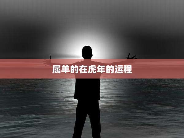 属羊的在虎年的运程