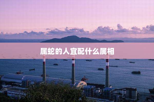 属蛇的人宜配什么属相