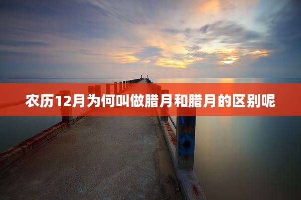 农历12月为何叫做腊月和腊月的区别呢