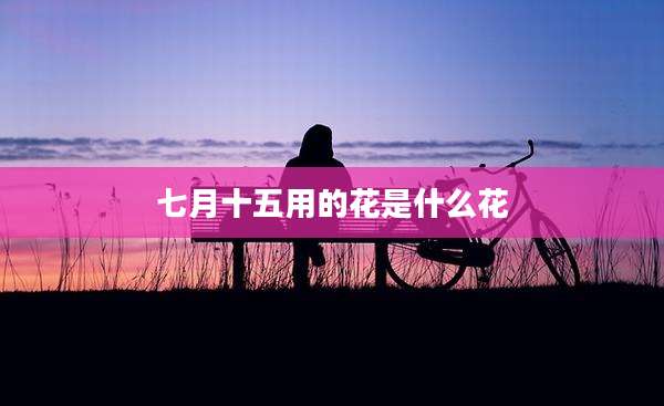 七月十五用的花是什么花