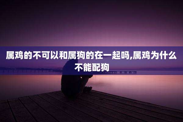 属鸡的不可以和属狗的在一起吗,属鸡为什么不能配狗