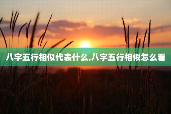 八字五行相似代表什么,八字五行相似怎么看