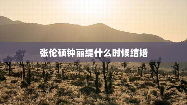张伦硕钟丽缇什么时候结婚