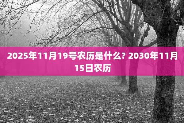 2025年11月19号农历是什么? 2030年11月15日农历