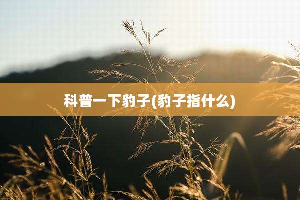 科普一下豹子(豹子指什么)