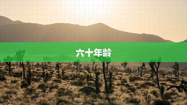 六十年龄