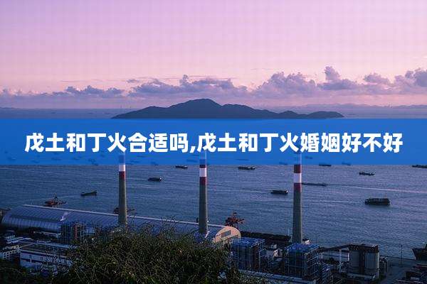 戊土和丁火合适吗,戊土和丁火婚姻好不好