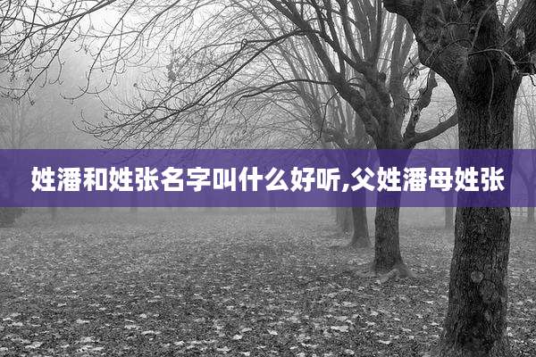 姓潘和姓张名字叫什么好听,父姓潘母姓张