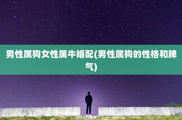 男性属狗女性属牛婚配(男性属狗的性格和脾气)