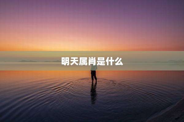 明天属肖是什么