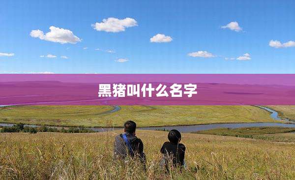 黑猪叫什么名字