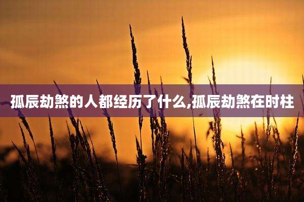 孤辰劫煞的人都经历了什么,孤辰劫煞在时柱