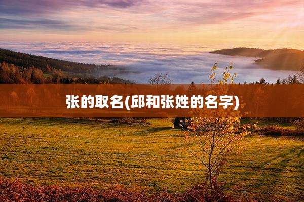 张的取名(邱和张姓的名字)