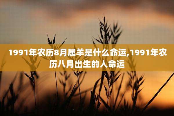 1991年农历8月属羊是什么命运,1991年农历八月出生的人命运
