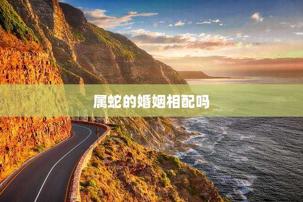 属蛇的婚姻相配吗
