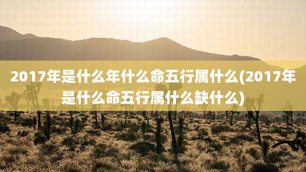 2017年是什么年什么命五行属什么(2017年是什么命五行属什么缺什么)