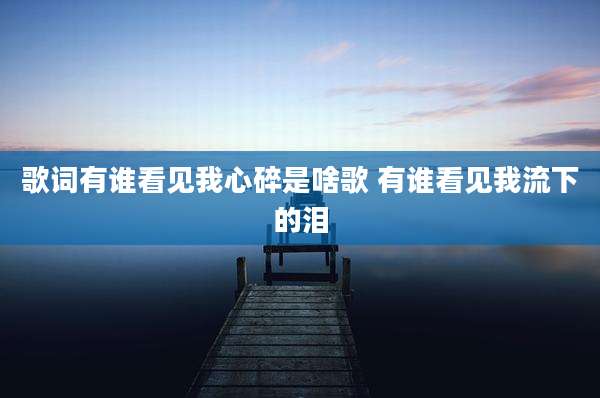 歌词有谁看见我心碎是啥歌 有谁看见我流下的泪
