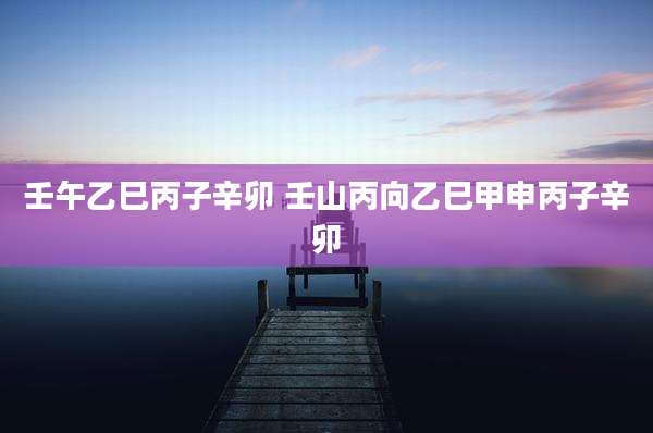 壬午乙巳丙子辛卯 壬山丙向乙巳甲申丙子辛卯