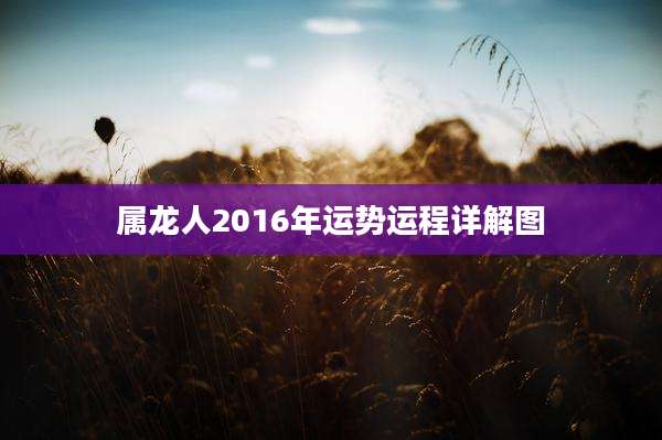 属龙人2016年运势运程详解图