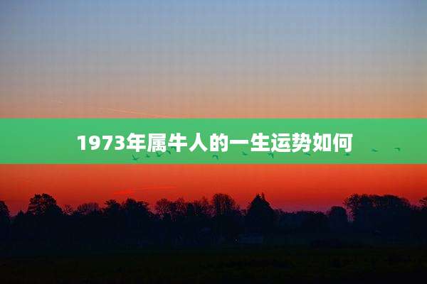1973年属牛人的一生运势如何