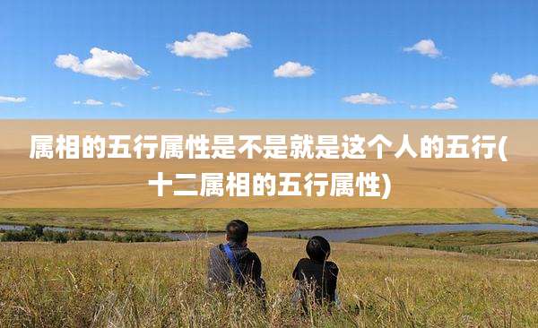 属相的五行属性是不是就是这个人的五行(十二属相的五行属性)