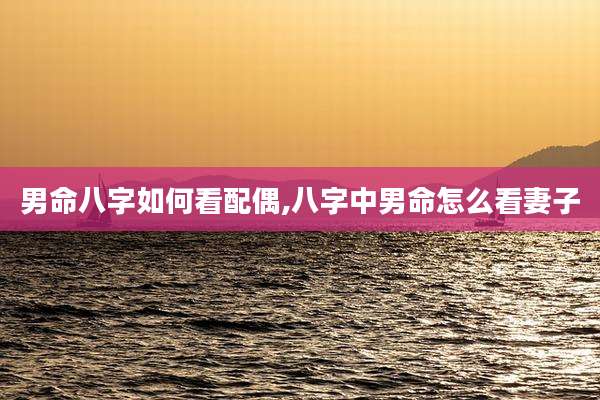男命八字如何看配偶,八字中男命怎么看妻子