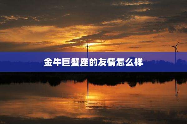 金牛巨蟹座的友情怎么样