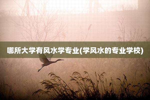 哪所大学有风水学专业(学风水的专业学校)
