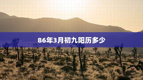 86年3月初九阳历多少