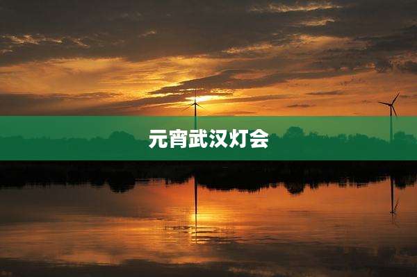 元宵武汉灯会