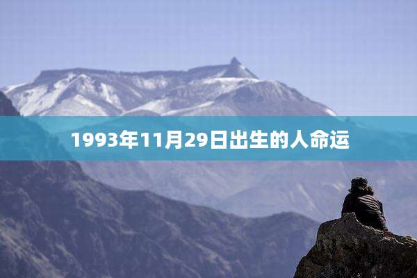 1993年11月29日出生的人命运