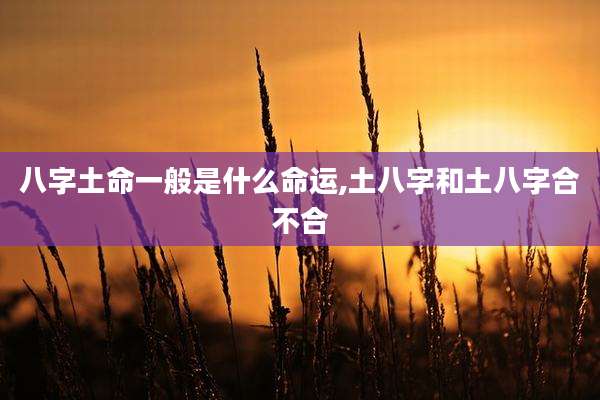 八字土命一般是什么命运,土八字和土八字合不合