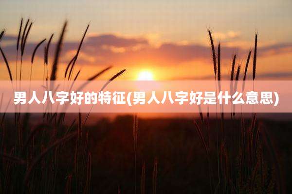 男人八字好的特征(男人八字好是什么意思)