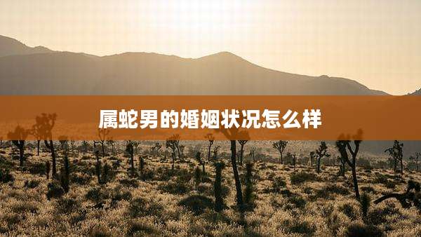 属蛇男的婚姻状况怎么样