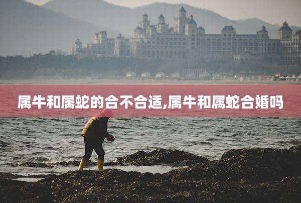 属牛和属蛇的合不合适,属牛和属蛇合婚吗
