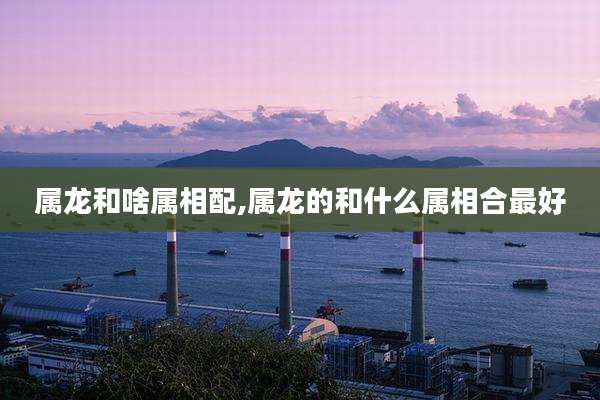 属龙和啥属相配,属龙的和什么属相合最好
