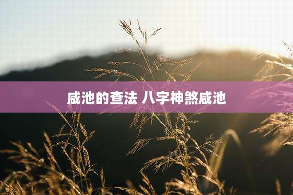 咸池的查法 八字神煞咸池