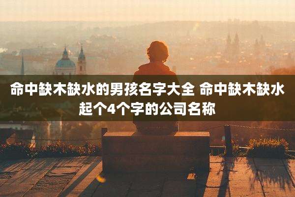命中缺木缺水的男孩名字大全 命中缺木缺水起个4个字的公司名称