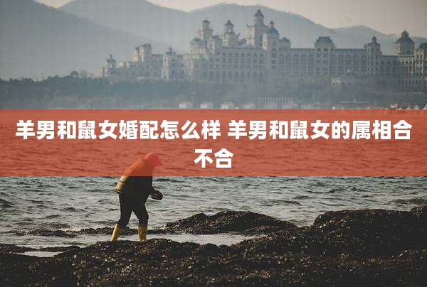 羊男和鼠女婚配怎么样 羊男和鼠女的属相合不合