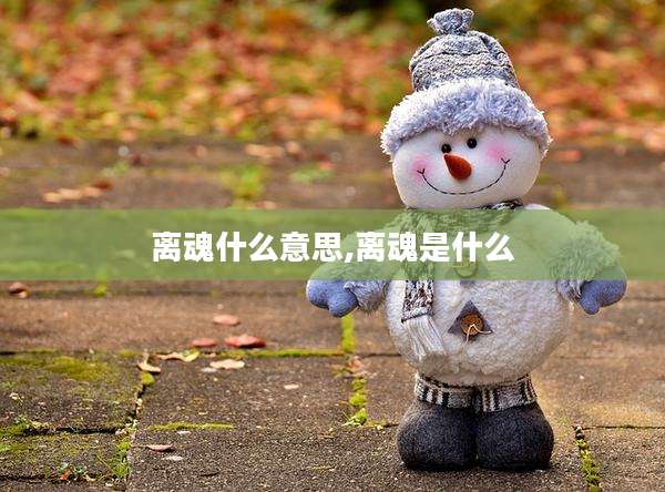 离魂什么意思,离魂是什么