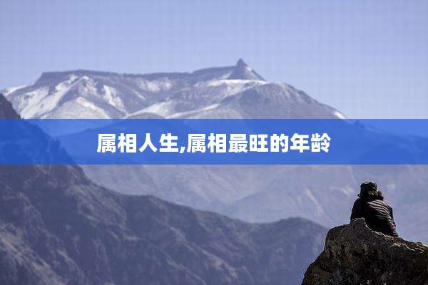 属相人生,属相最旺的年龄