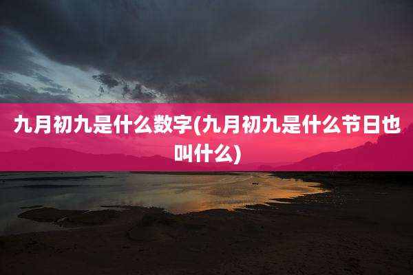 九月初九是什么数字(九月初九是什么节日也叫什么)