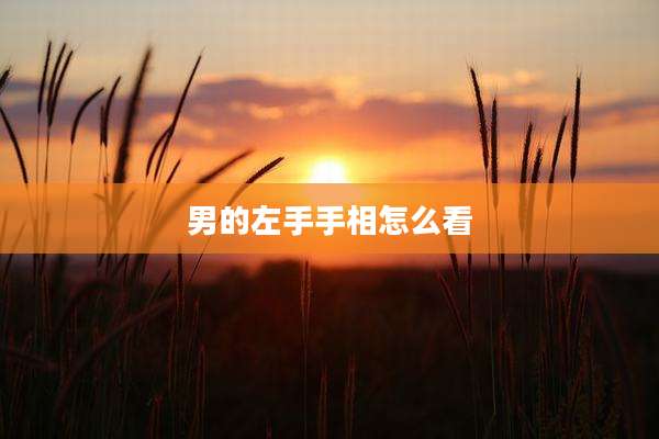 男的左手手相怎么看