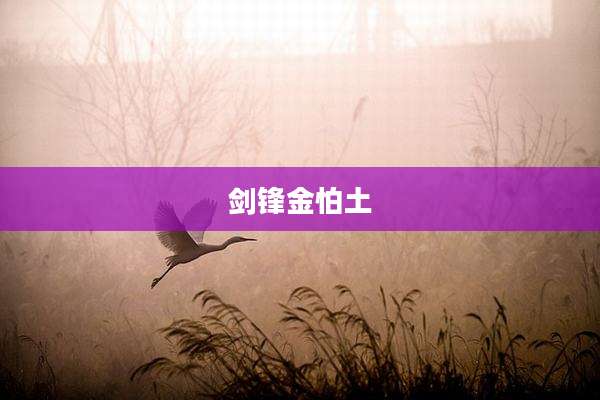 剑锋金怕土