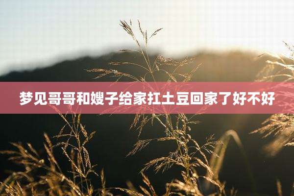 梦见哥哥和嫂子给家扛土豆回家了好不好