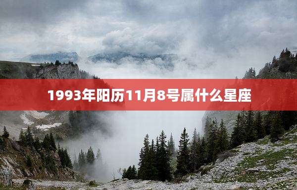 1993年阳历11月8号属什么星座