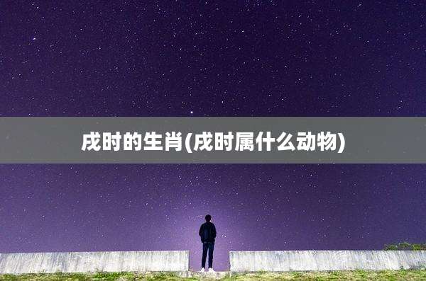 戌时的生肖(戌时属什么动物)