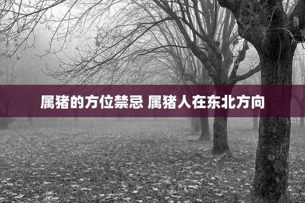 属猪的方位禁忌 属猪人在东北方向